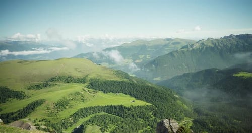 Forested valley in the Italian Dolomites