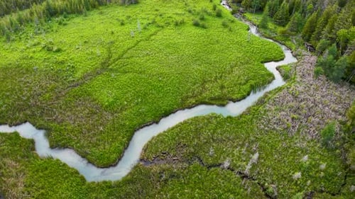 Aerial drone view of a winding river cutting through vibrant green wetlands bordered by dense