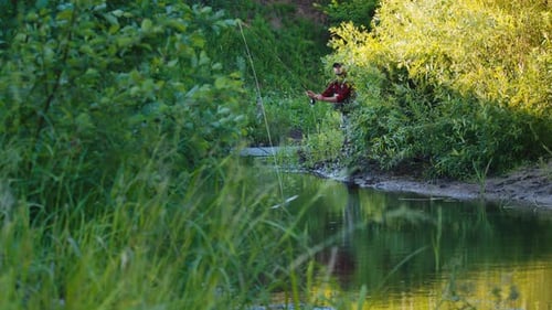 Fly fishing. Angler fishing on the bushy coast and casts the line downstream the narrow creek