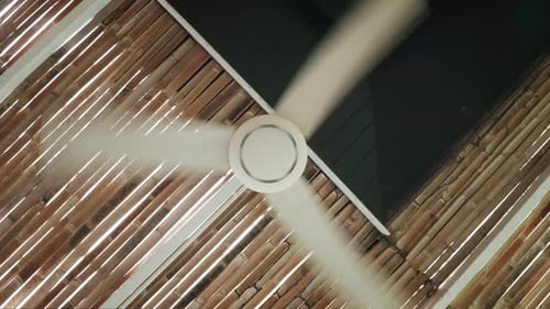 Spinning Ceiling Fan with Bamboo Ceiling