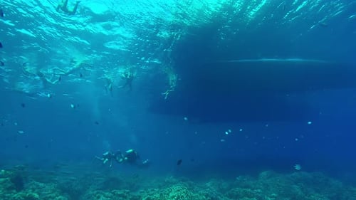 Many tropical fish in coral garden, group of snorkelers swims next to diving boats
