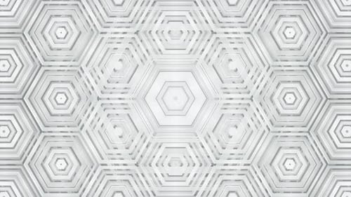 White Hexagonal Background