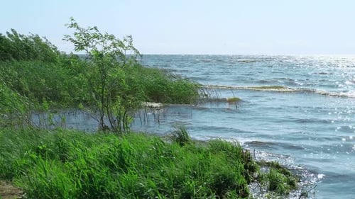 Beautiful Lake Landscape with Waves on Shore in Evening Creative Waves of Light Breeze Windy Weather