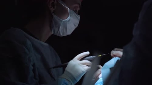 Surgical Team Performing Operation in Hospital Operating Room