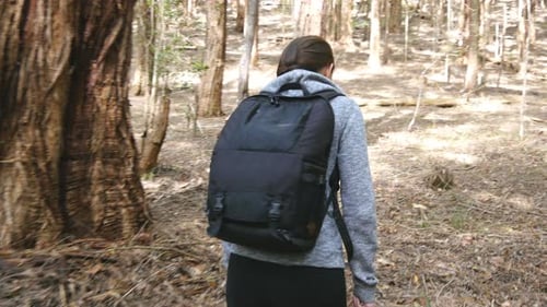 Young Woman Tourist with Backpack Walking in the Forest Female Backpacker Going Through the Wood