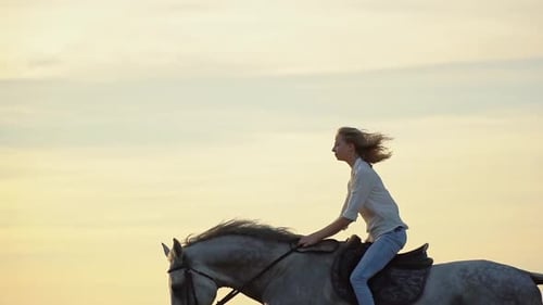 Young Blonde Girl Riding on a Horse on the Field During Sunset Slow Motion