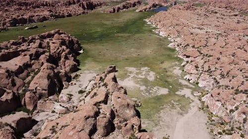 Rugged altiplano aerial descends to llamas grazing in green valley