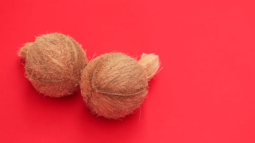 One whole coconut on a red background. Top view. Copy of space. Design of pop art, creative summer c