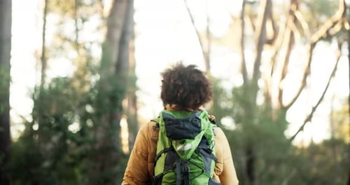 Frau, Rücken und Wandern mit offenen Armen in der Natur für frische Luft, Freiheit oder Outdoor-Abenteuer