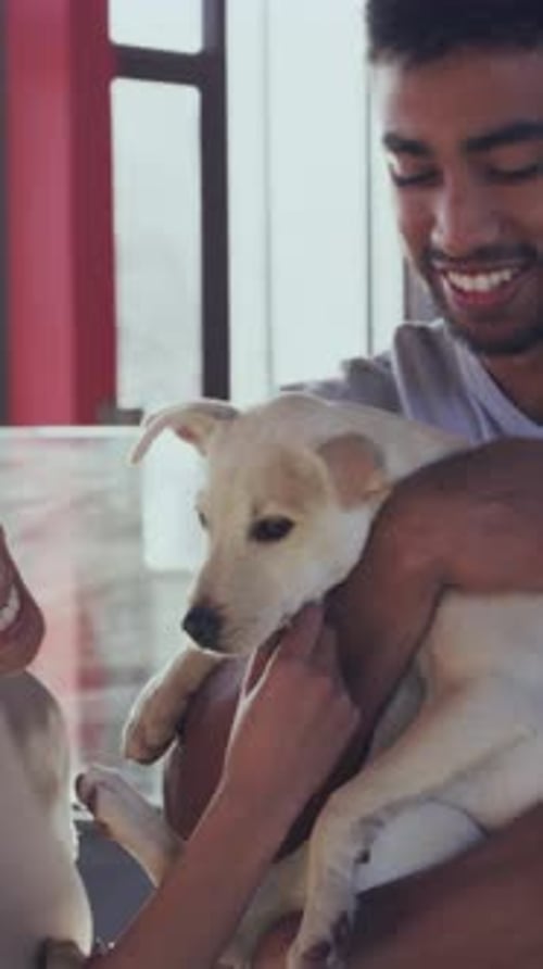 Animal shelter, happy and couple with dog for adoption, bonding and puppy choice for foster care