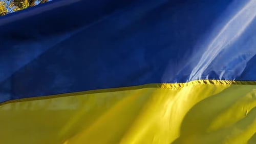 Blue and Yellow Flag Waving