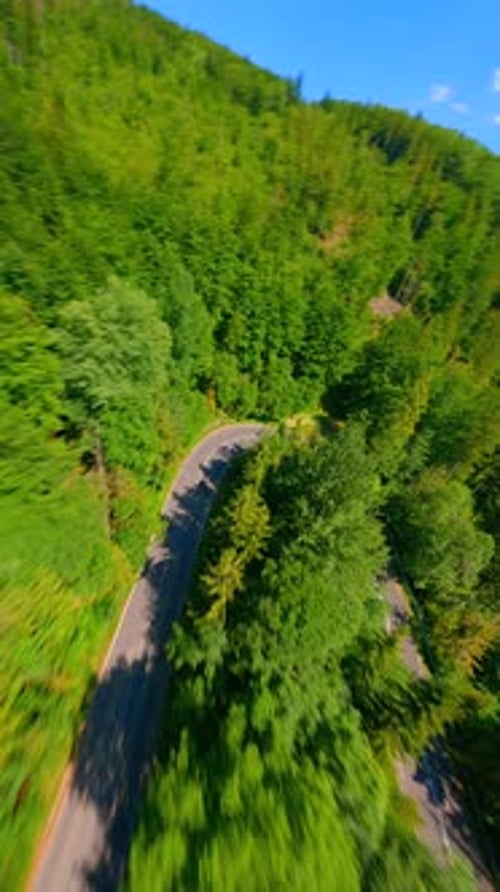 Motorcycle Riding Along Winding Road Through Mountain Forest on Sunny Summer Day