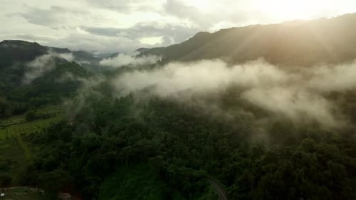 Vista aérea de la exuberante montaña verde de la selva tropical 06