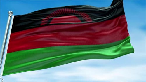 Malawi Flag Waving Loop with Realistic Fabric Texture