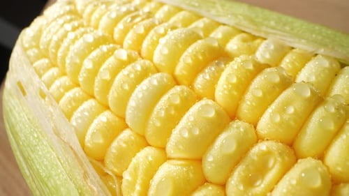 Macro video captures the enchanting beauty of sweetcorn
