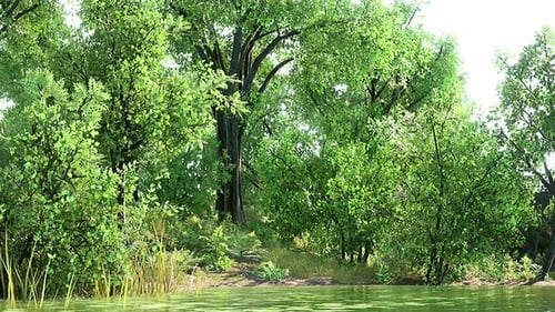 Malerischer See im Sommerpark