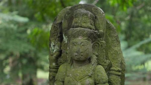 Ancient Shiva stone statue in a dense tropical forest