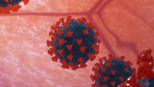 Animated 3D Model of Coronavirus COVID-19 Particles in Body