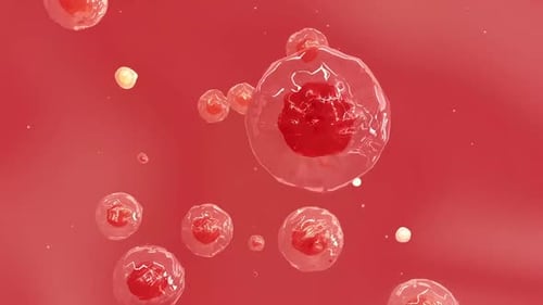 Animated Human Cell Division and Growth