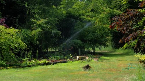 Imagens mostrando um sistema de aspersão em plantas e bordas de jardins.