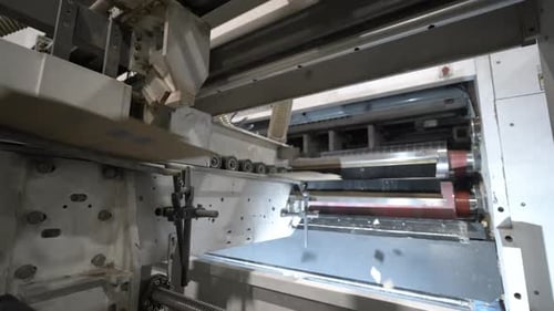 Flat Cardboard Sheets Move at High Speed Along Conveyor Belt