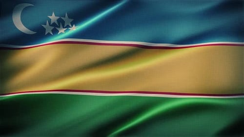 Realistic Waving Flag Animation Seamless Loop