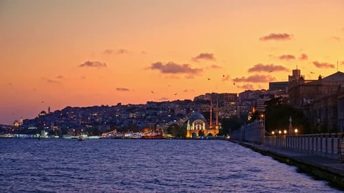 Besiktas Dolmabahce Mosque and Flying Seagulls