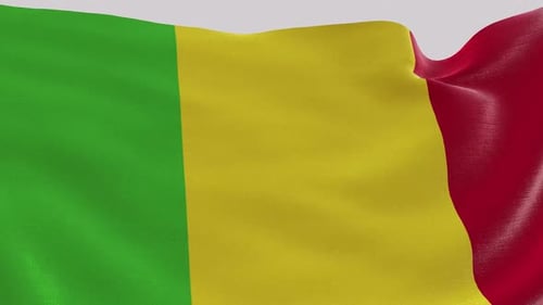 Mali National Flag Realistic Waving Loop