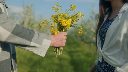 Romantic Couple Holding Hands with Wildflowers in Sunny Green Meadow