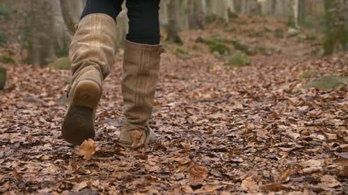 Woman in tall brown boots walking on leaves in autumn woods, Slowmo Closeup