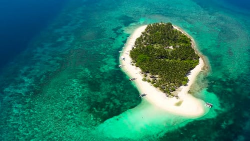 Tropical Island with a Beach and Palm Trees Digyo Island