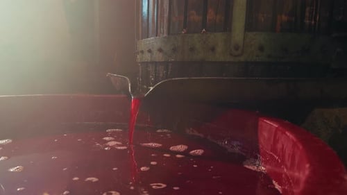 Production Process Of The Red Wine Details