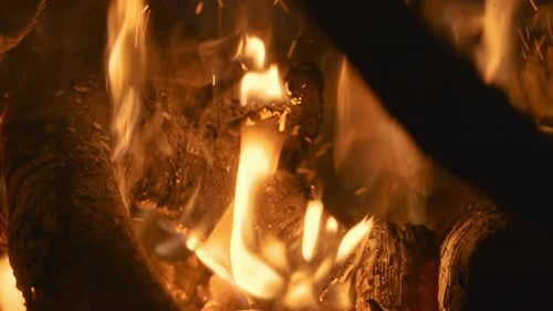 Camp Fire