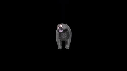 Black Bear Howl Idle