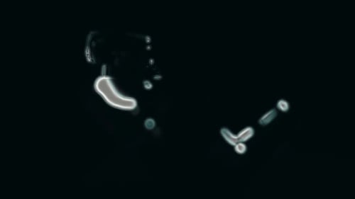 Abstract Motion with Dark and Moody Background