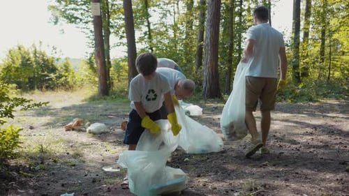 A Dedicated Group of People is Actively Picking Up Trash in the Woods