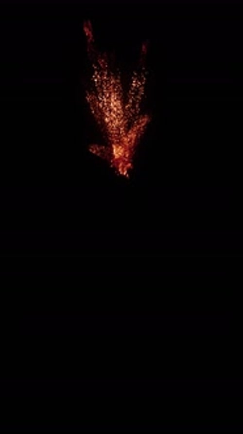 Aerial Sparks Explosion (12)
