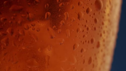 the Light Passes Behind the Glass of Beer Air Bubbles Can Be Seen in the Glass