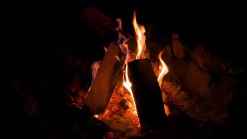 Burning Campfire with Orange Flames at Night