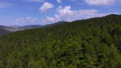 Beautiful natural landscape with blue sky and white clouds over a green mountain pine forest