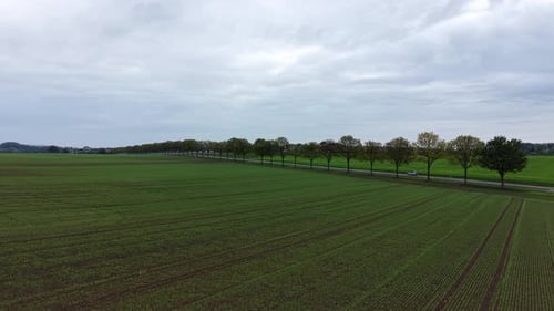 Driving cars on rural tree-lined intersection road during cloudy day in fall season. Growing
