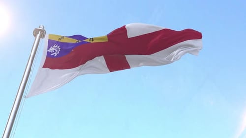 Realistic Waving Flag Animation