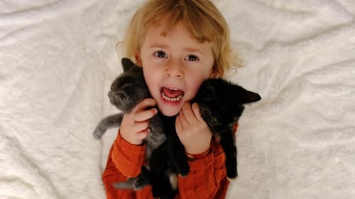Child Cuddling Two Kittens on a White Blanket
