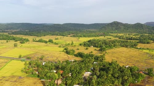 Farming and Growing Plants in Rural Areas of Sri Lanka