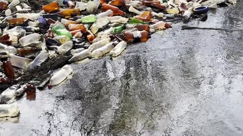Dirty River is Polluted with Many Plastic Bottles A Lot of Trash is Dumped in Open and Freely