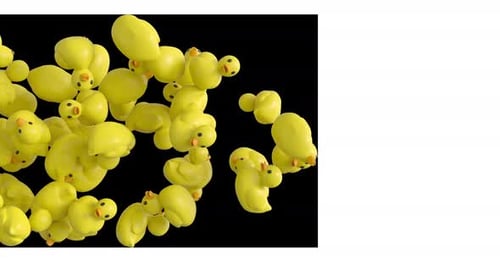 3D Rubber Ducks Left to Right Screen Transition Alpha Channel 4K