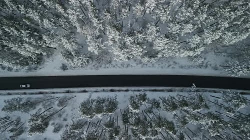 Atemberaubende Luftaufnahme einer schneebedeckten Straße inmitten eines malerischen Winterwaldes