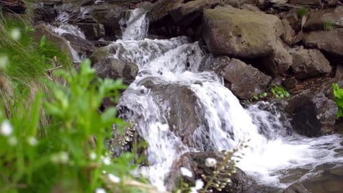 Der
Wasserstrahl fließt schnell bergab und erzeugt einen schönen weißen Schaum. Nahaufnahme von Grün