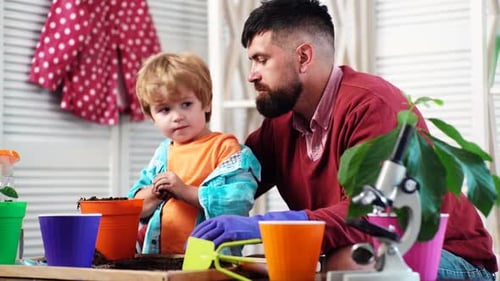 Family Potting Plant at Home