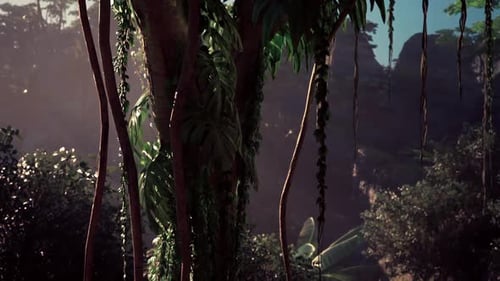 Thick Green Forest With Abundant Trees